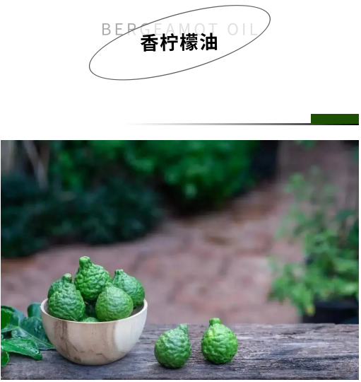 企业微信截图_1668137359841.png